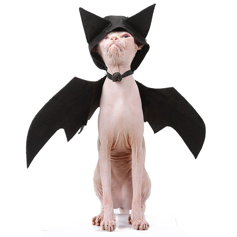 Bat-tastic Pet Costume