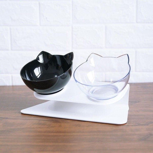 Anti-Vomiting Pet Double Bowl