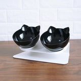 Anti-Vomiting Pet Double Bowl