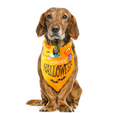 Ghoulishly Cute Dog Bib