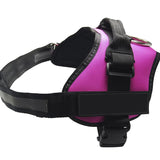 Tug-Proof Dog Harness