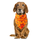 Ghoulishly Cute Dog Bib