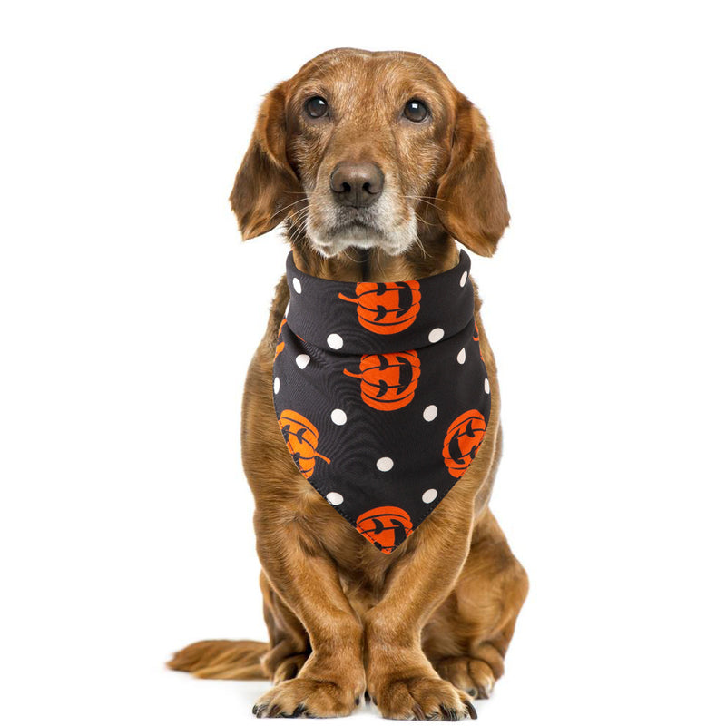 Ghoulishly Cute Dog Bib