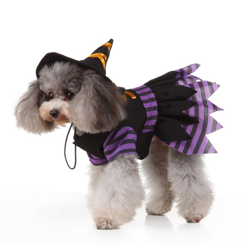 Wickedly Cute Witch Costume