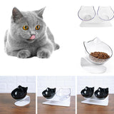 Anti-Vomiting Pet Double Bowl