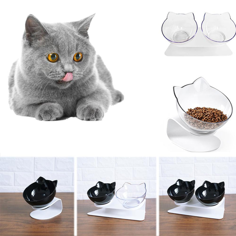 Anti-Vomiting Pet Double Bowl