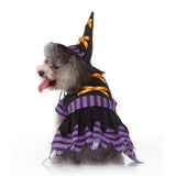 Wickedly Cute Witch Costume