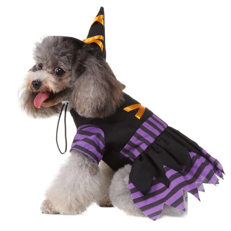 Wickedly Cute Witch Costume